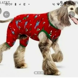 Wondershop Christmas Dinosaur Pet Pajamas in XL